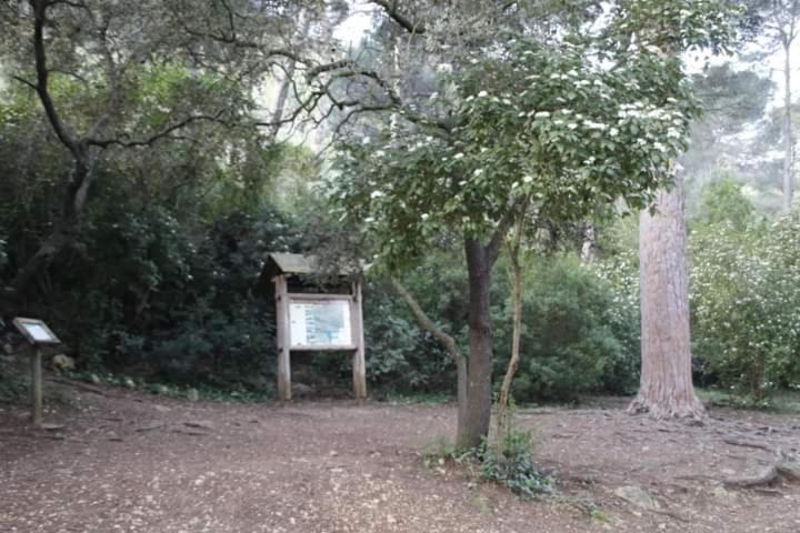 Ferienwohnung Casa Rural Ca Xelo Polinya de Xuquer Exterior foto